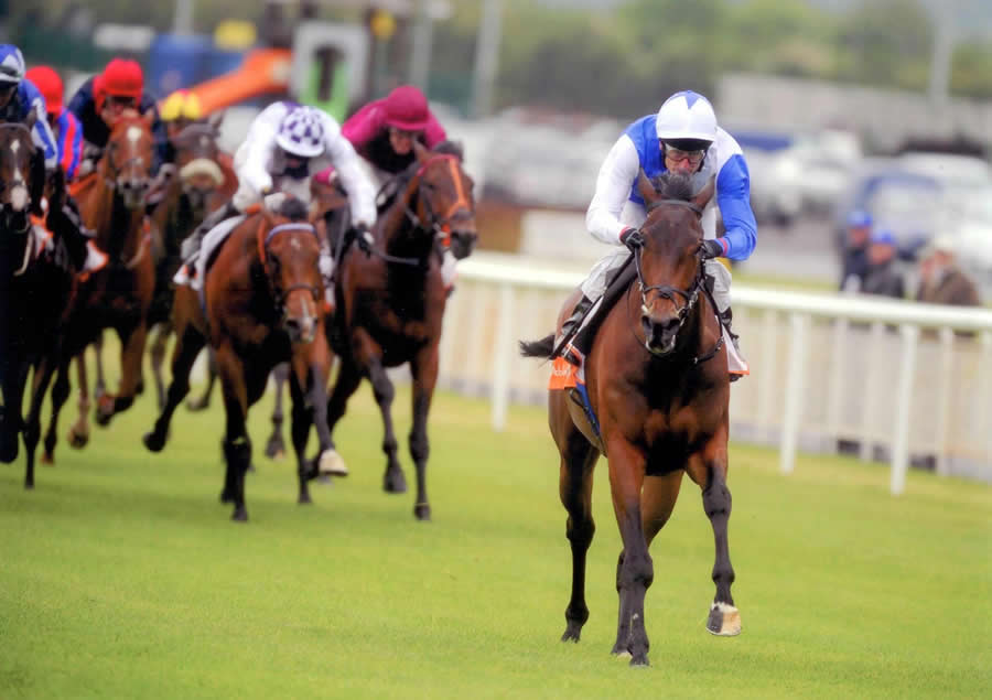 Future Generation winning the Desmond Stakes Gr3 The Curragh 21st May